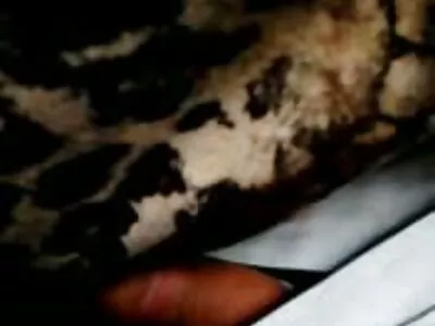 Man sex porno film gratis probeert kuikens bij te houden