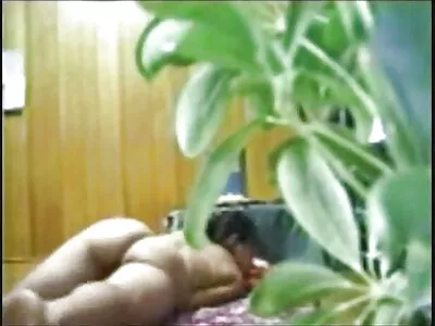 Streelt het poesje van de gratis porno hamster vriendin